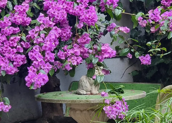 Vatican Fairytale Garden Pensión 4*