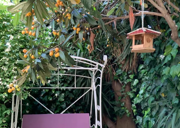 Vatican Fairytale Garden 4* Roma
